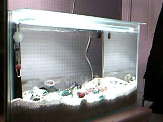 Picture279.jpg
