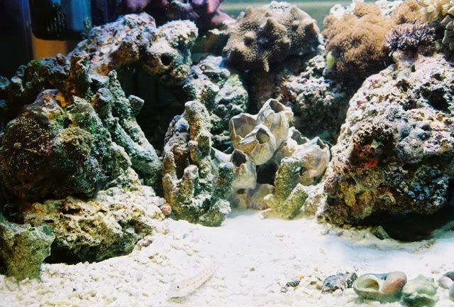 FL000008.jpg