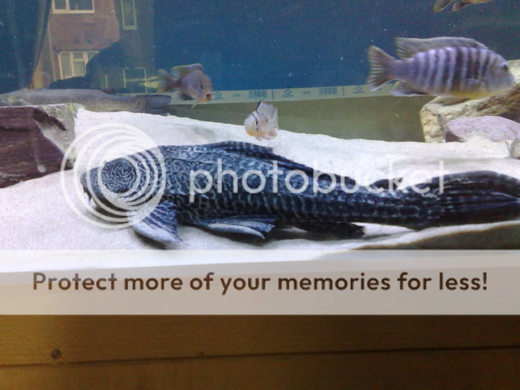 07062009345.jpg