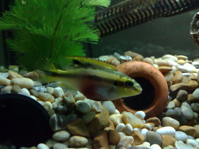 22012009137.jpg