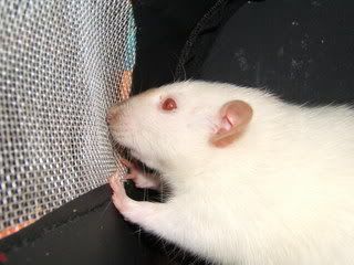 DSCF2854.jpg