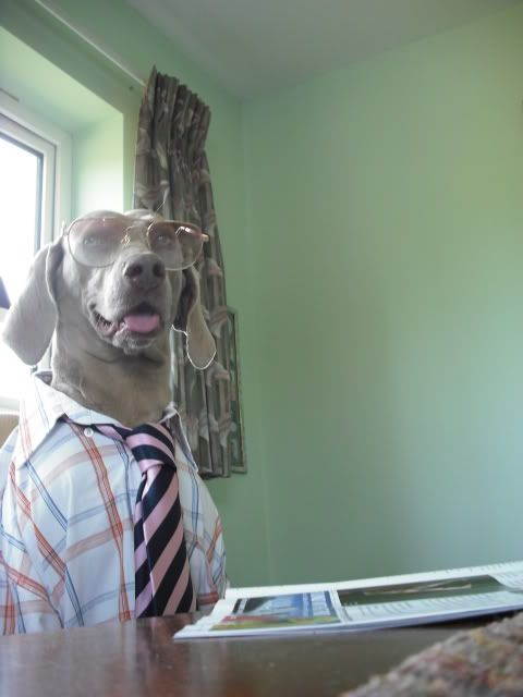 DSCF0129.jpg