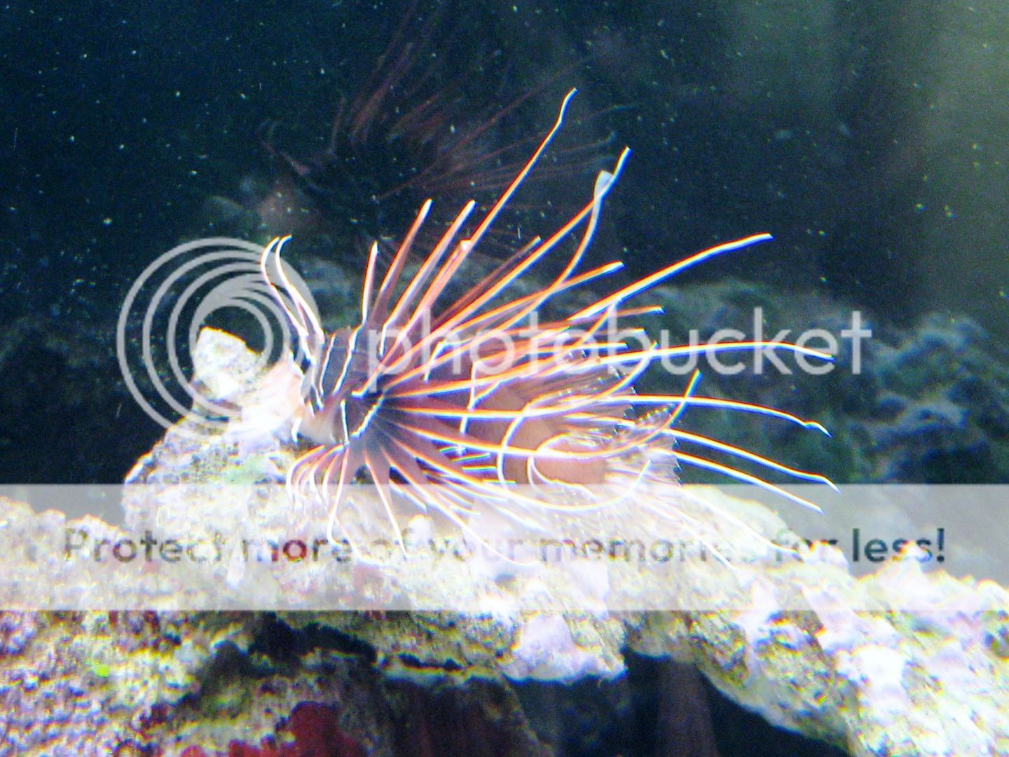 IMG_0824.jpg