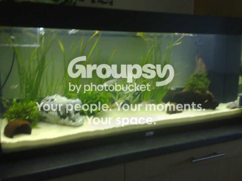 22052010393.jpg