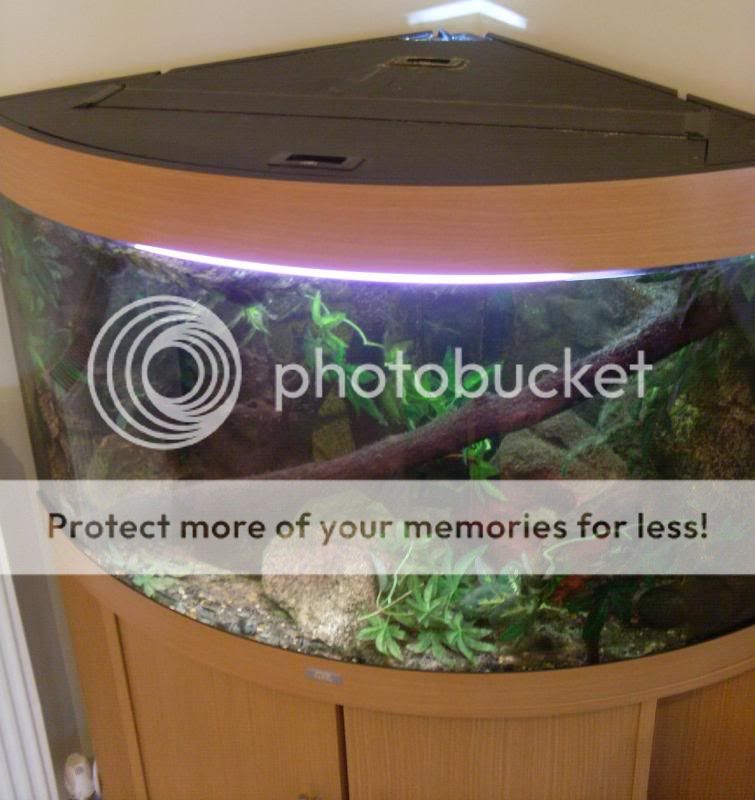TankPic05.jpg