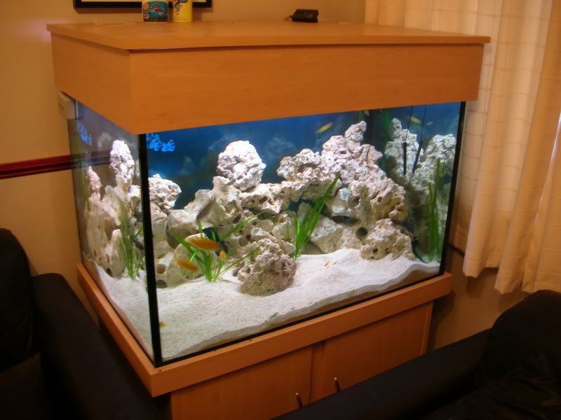 DSCN2309.jpg