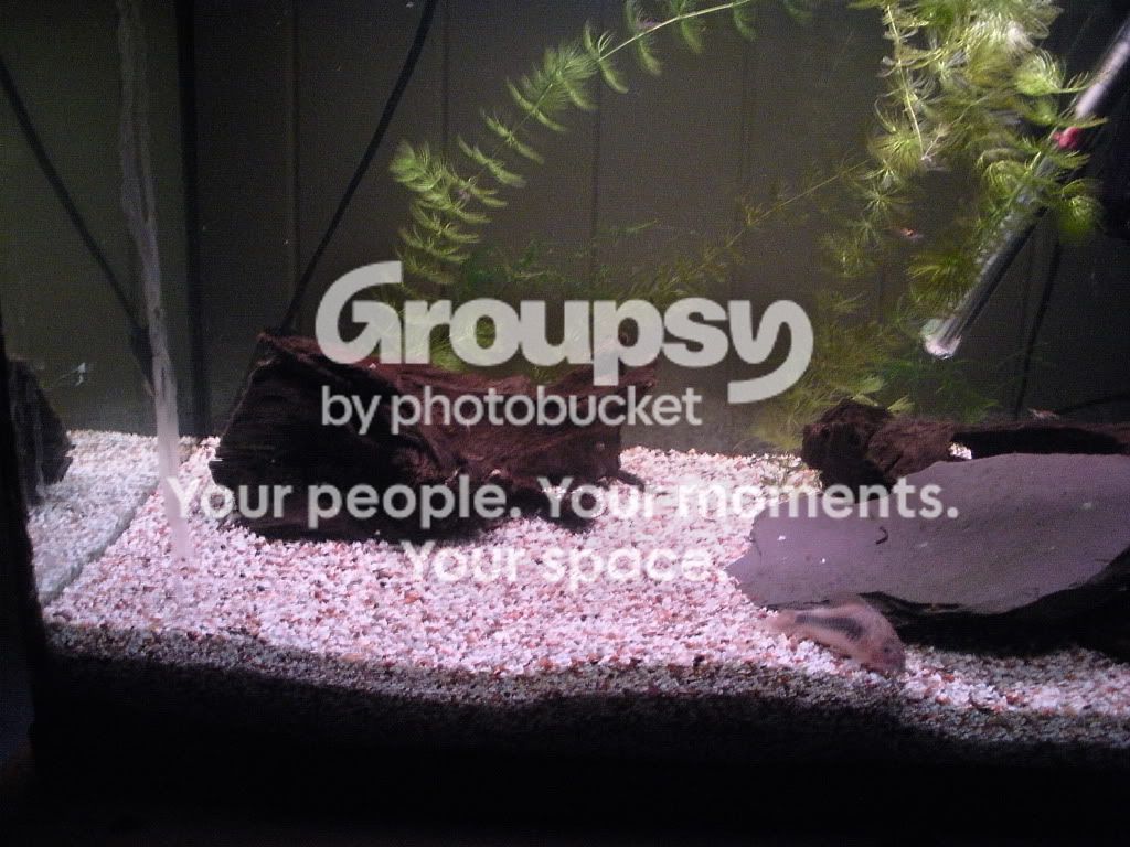 DSCN9851.jpg