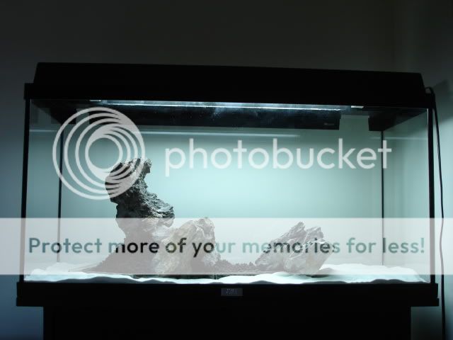 DSC03447.jpg