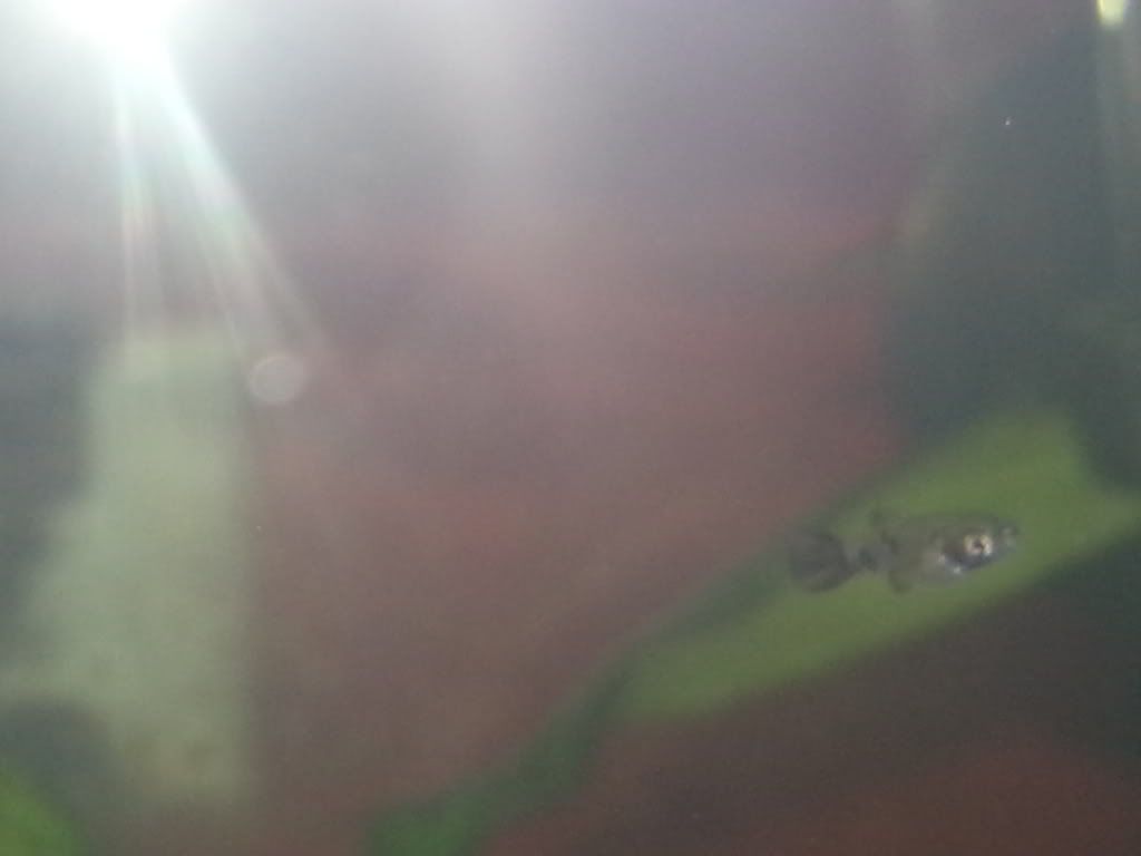 20130722_221520_zps7d0ffd0a.jpg