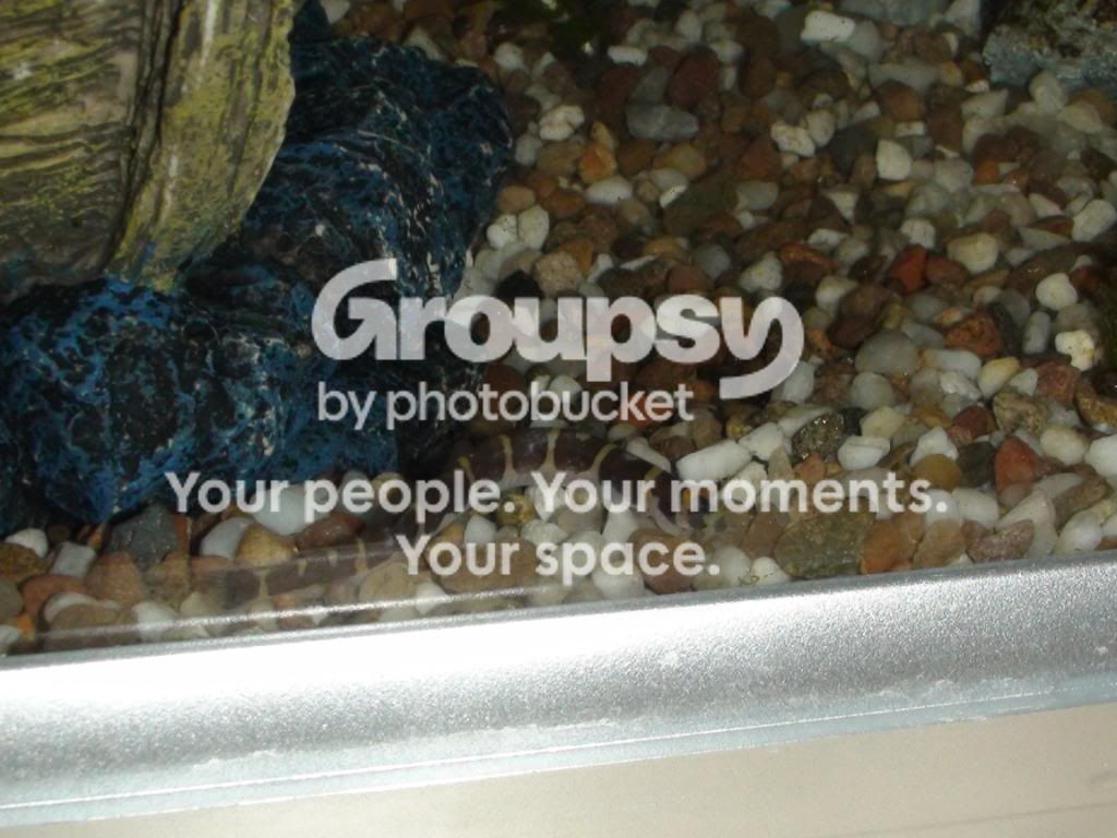 DSC00999.jpg