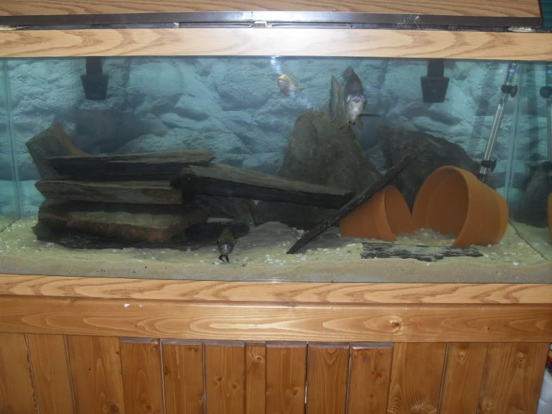 SDC12757.jpg