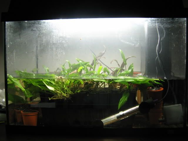 20090608001.jpg