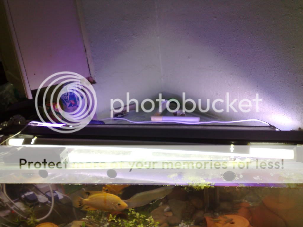 08082009746-1.jpg
