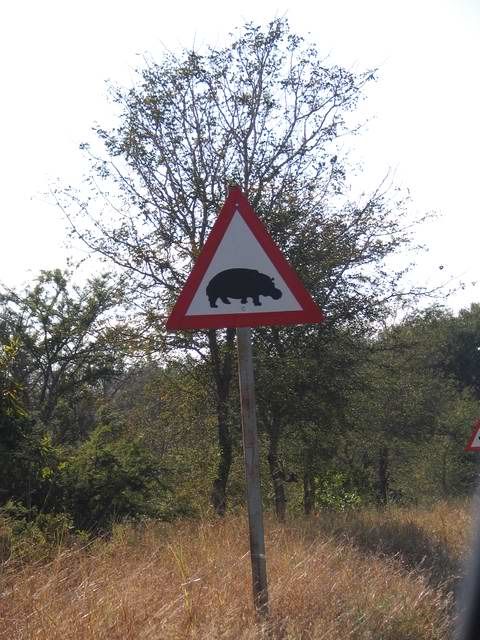 Hippo_sign.jpg