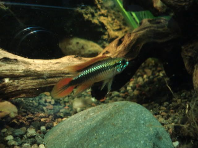 DSC01261.jpg