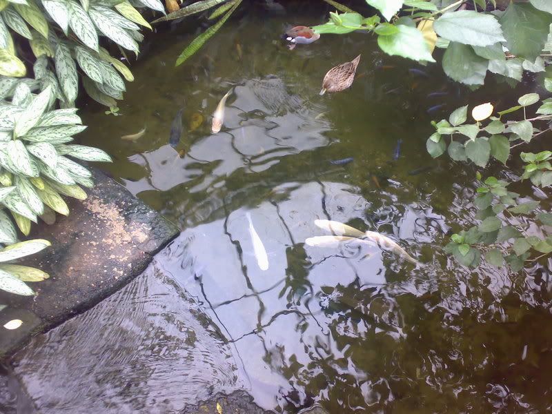 23032007219.jpg