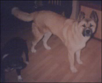 Cam00004-10.jpg