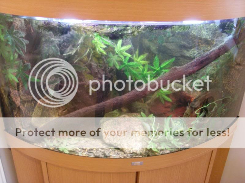 TankPic07.jpg