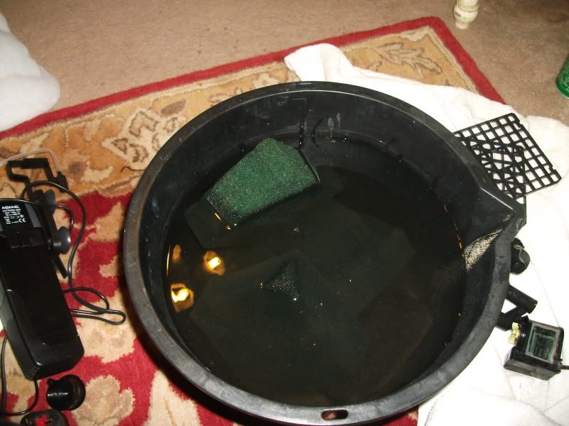 DSCF2407.jpg
