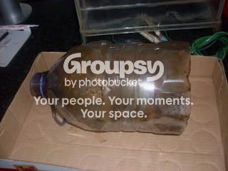 pondfilter004.jpg