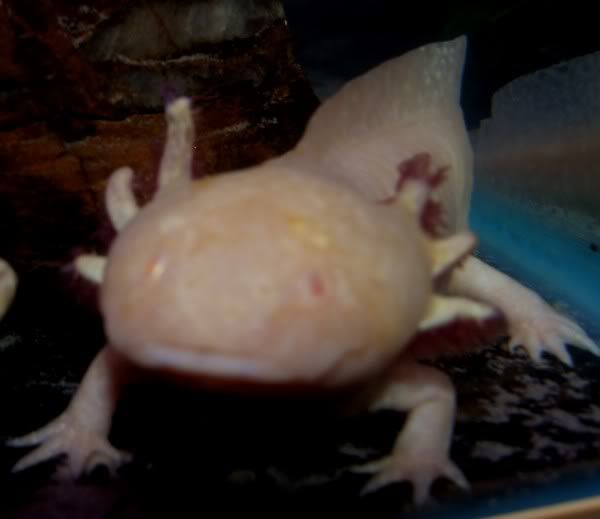 DSCF1609.jpg