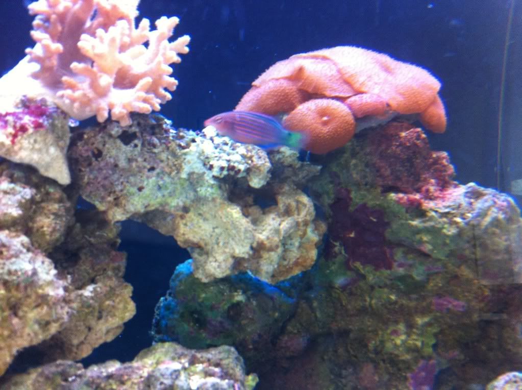 IMG_1125.jpg