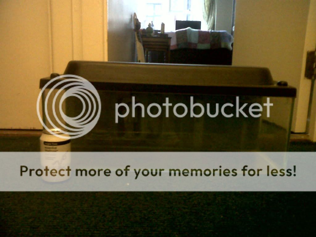IMG00322-20101127-1507.jpg