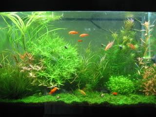Picture014-4.jpg