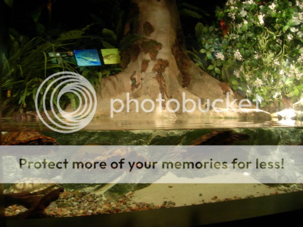 2008082.jpg
