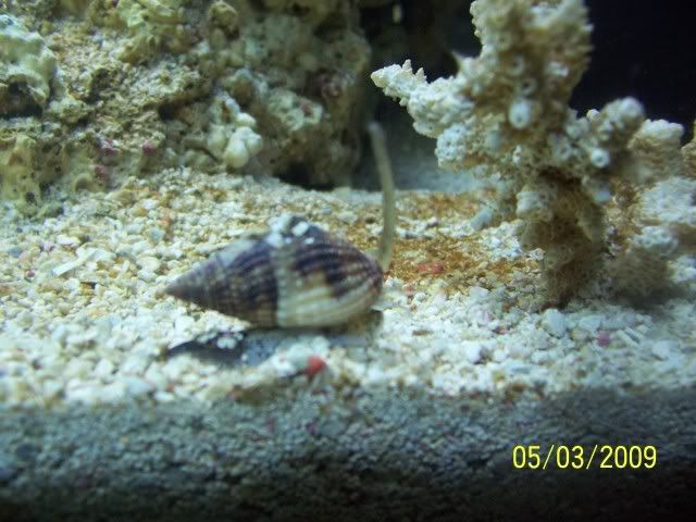 100_5570.jpg