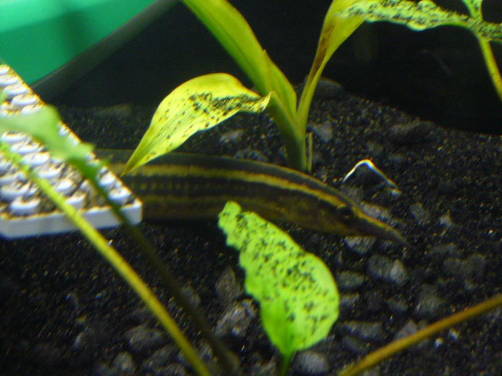 P1130443.jpg