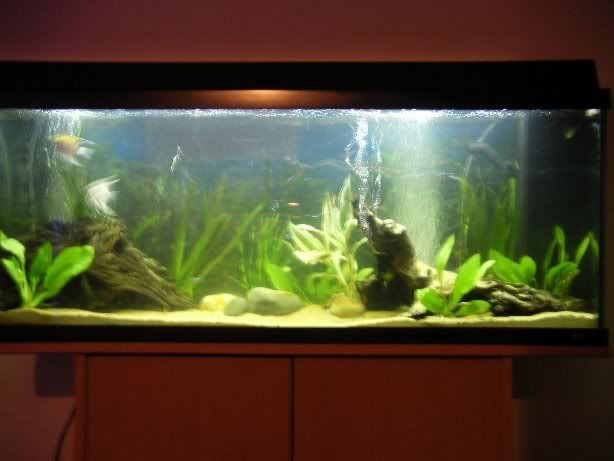 tank1.jpg