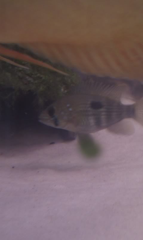 IMAG0482.jpg