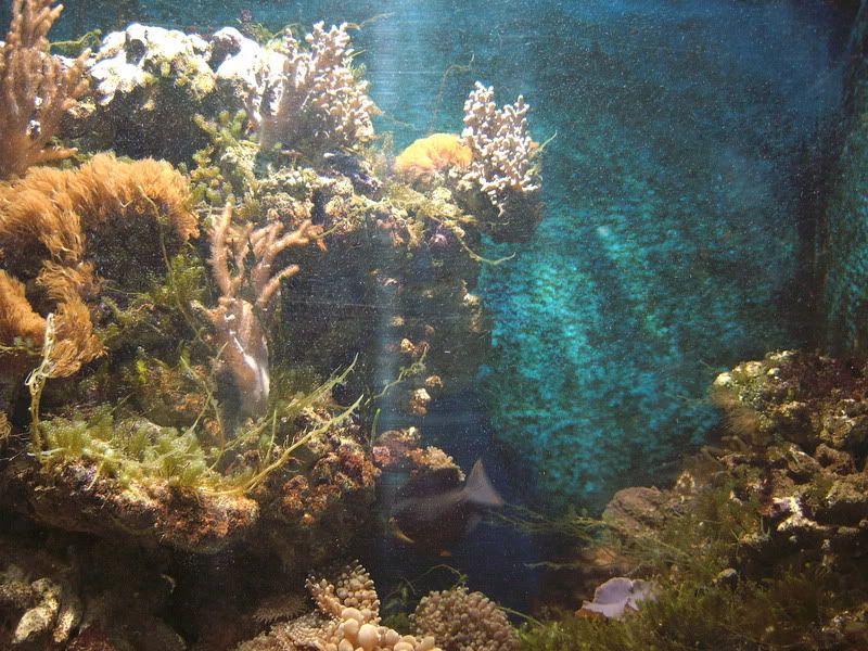 blueplanet003.jpg