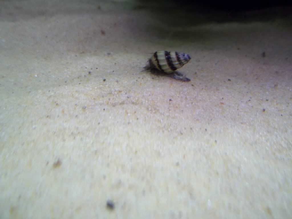 100_1682.jpg