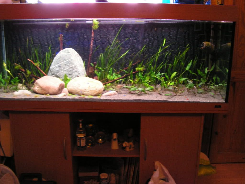 PICT1245-1.jpg