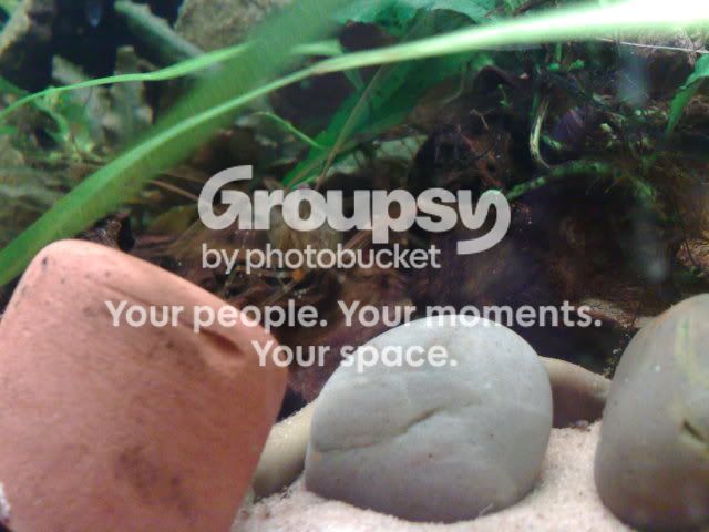 14052009357.jpg