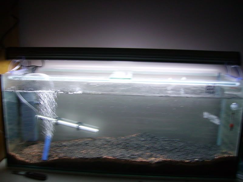 Picture039.jpg