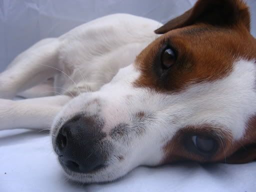 IMG_7680.jpg