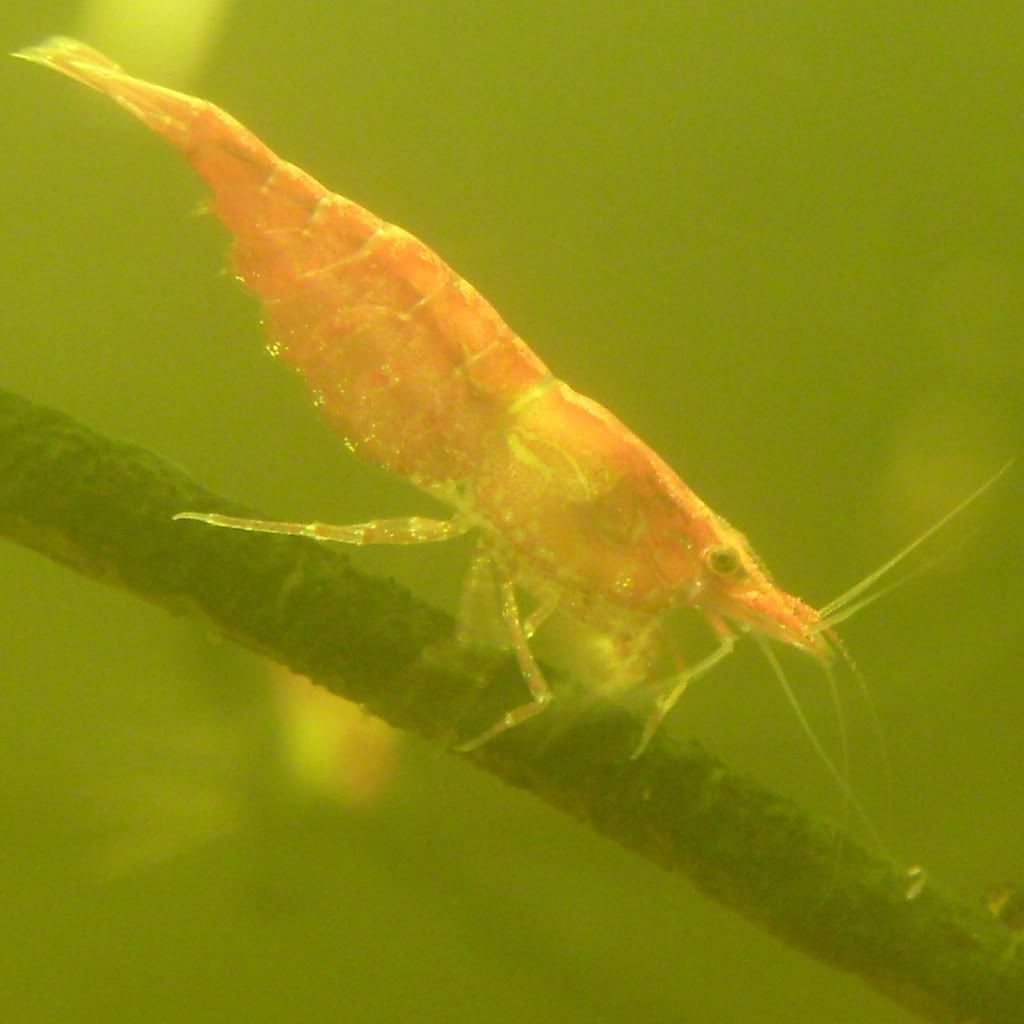S7003637.jpg