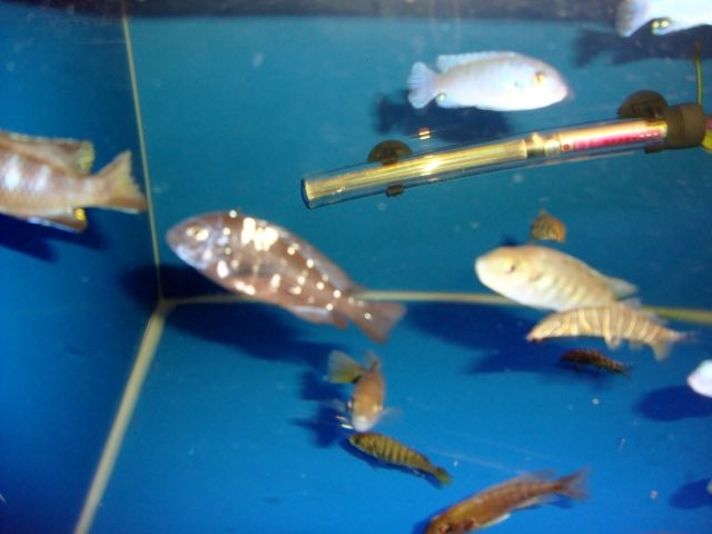 DSC01368.jpg