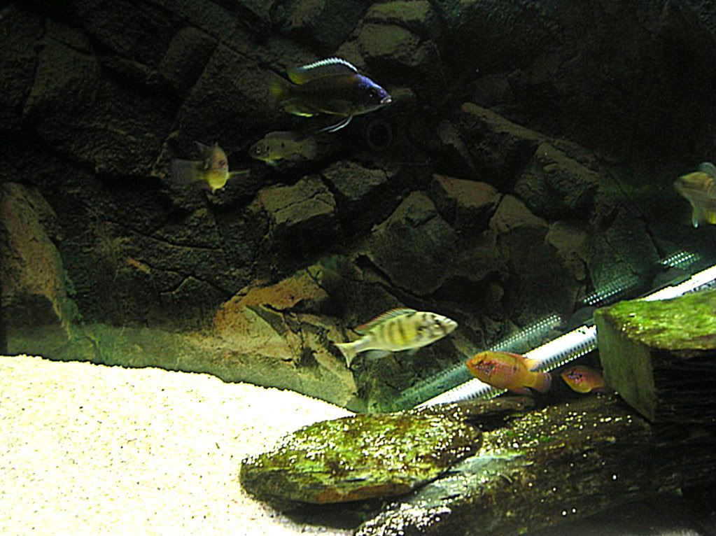 P1010141.jpg