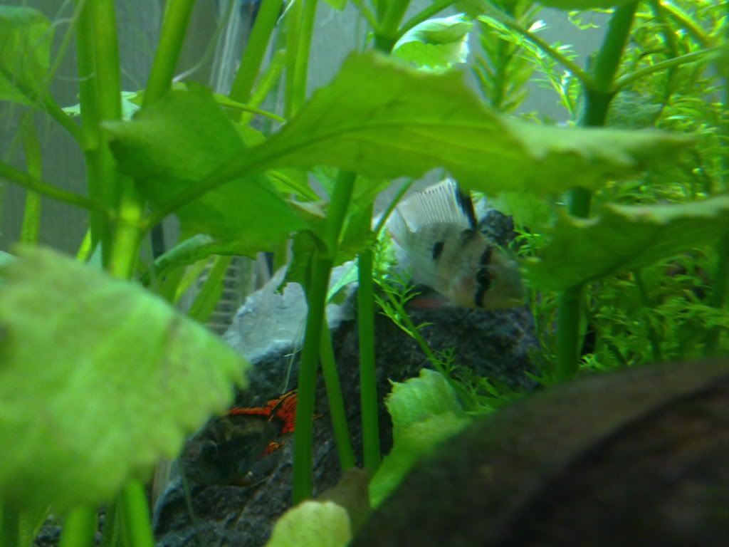 29102011185.jpg