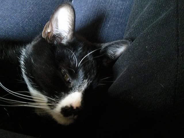 Photo0317.jpg