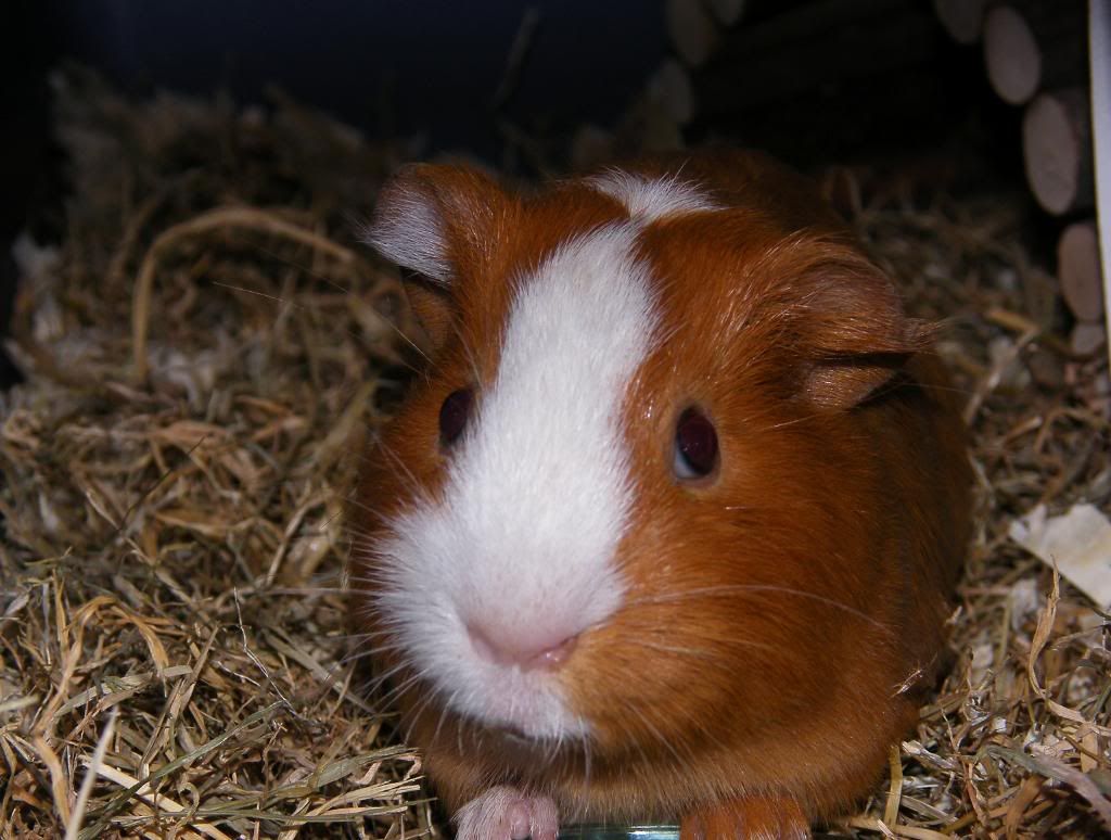 DSCF8637.jpg
