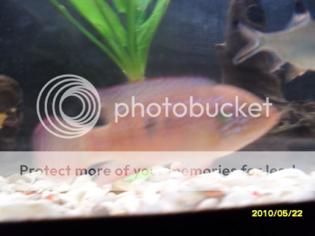 SDC14642.jpg