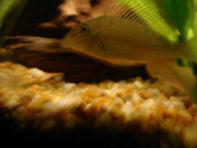 DSC01999.jpg