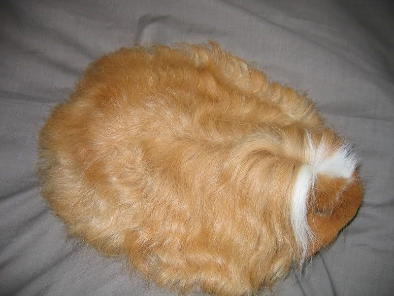 longhaired002.jpg