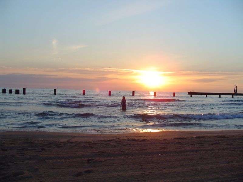 dsc008304ea.jpg