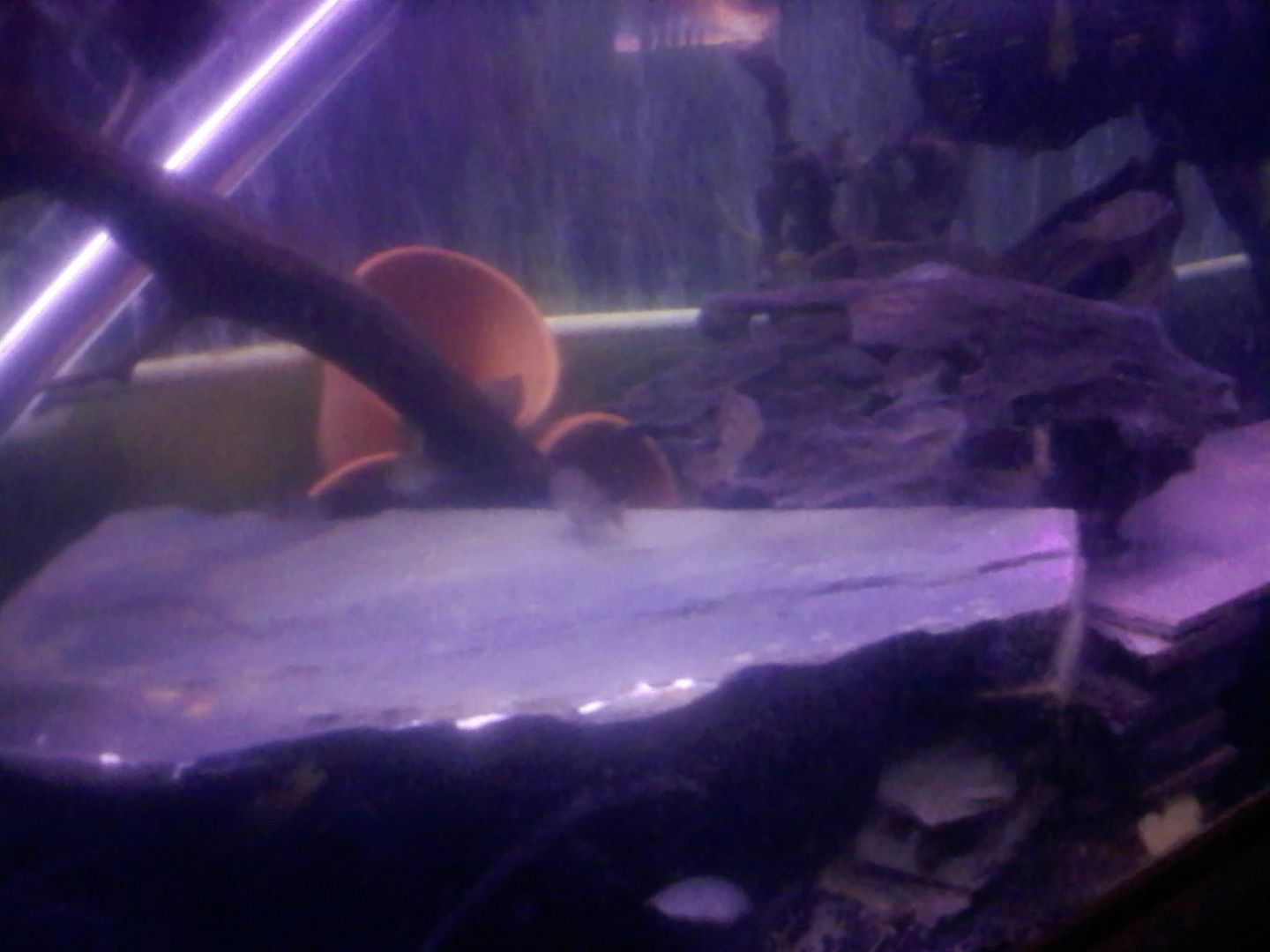 0520090112.jpg